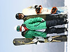 2009.02.01-1..