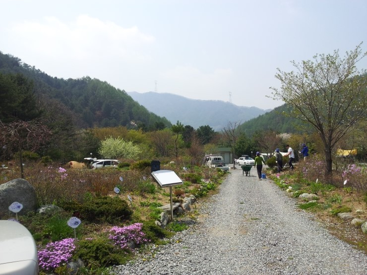 들꽃여울캠핑장 이미지