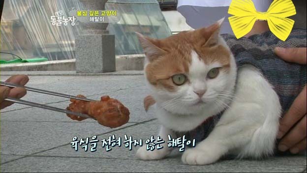 상귀농장 이미지