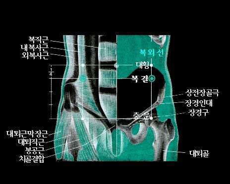 태음 이미지