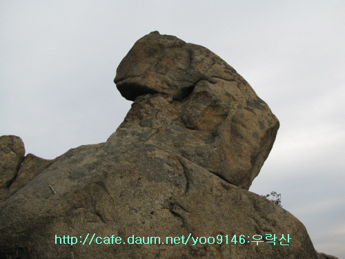 곰바위주 이미지