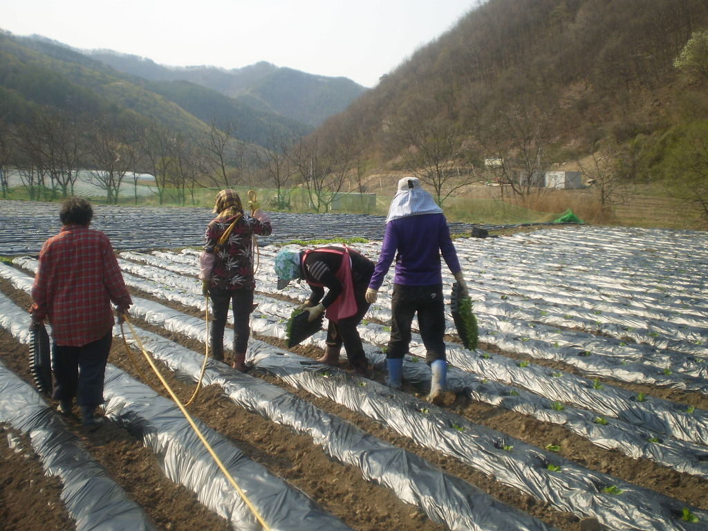 산중농원 이미지