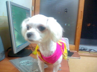 몽실이 이미지