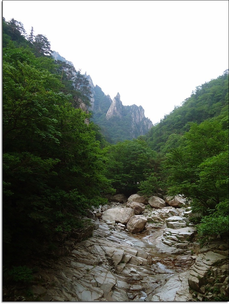 10년째 입산통제 이미지