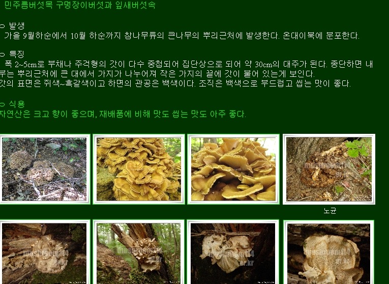 진부1 이미지