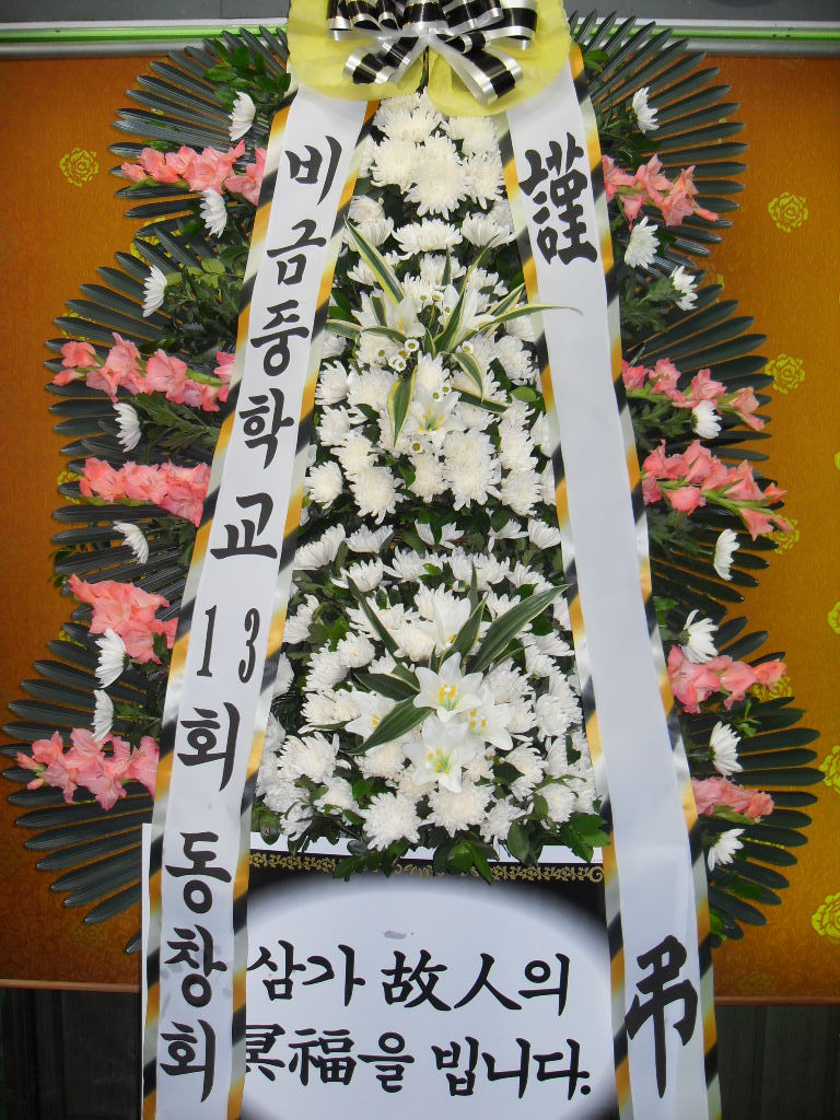 황*용 이미지
