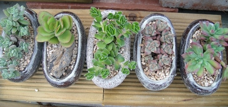 유림농원 이미지