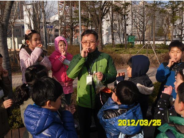 파란숲 이미지