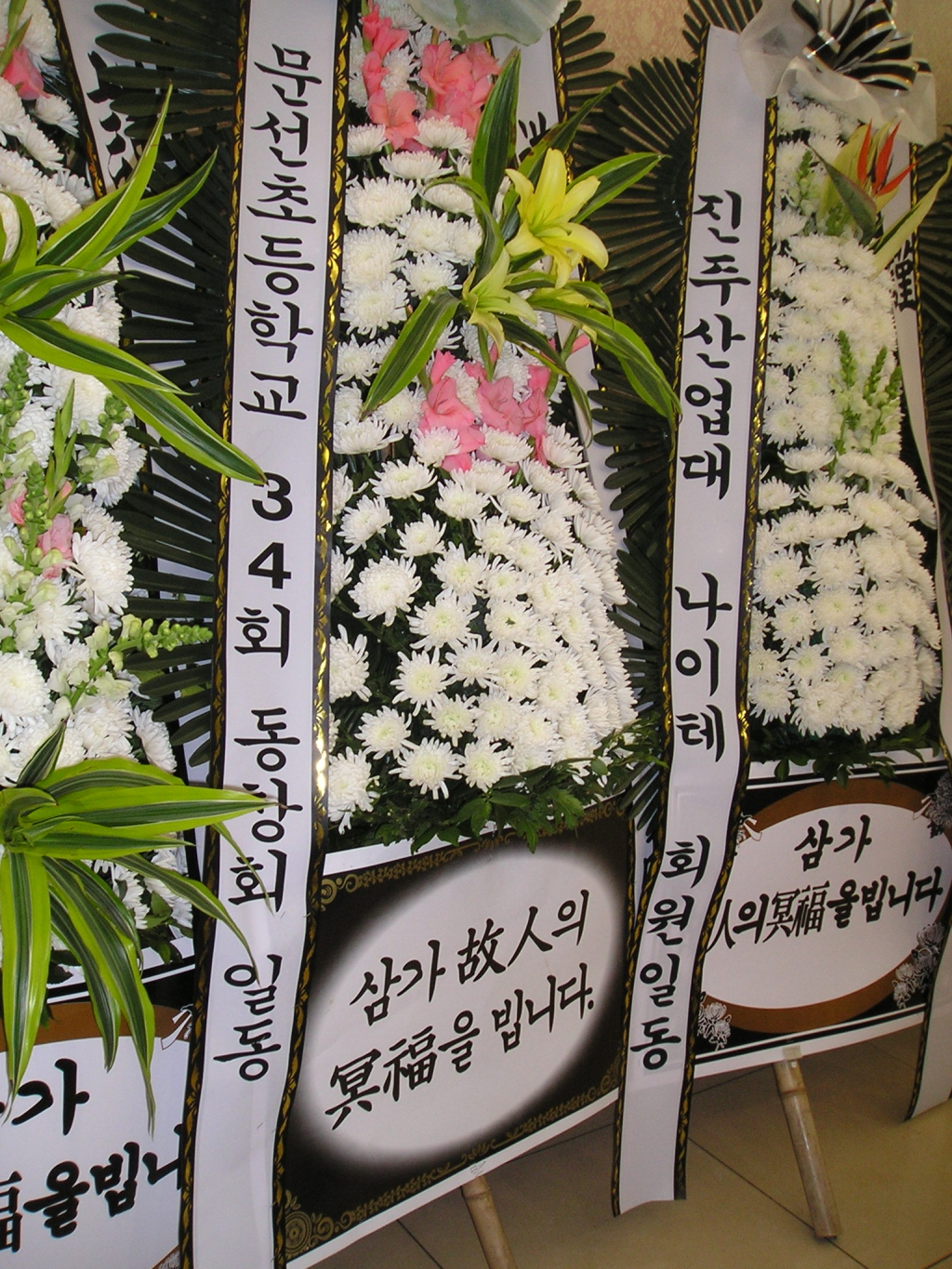 문선초등학교 이미지