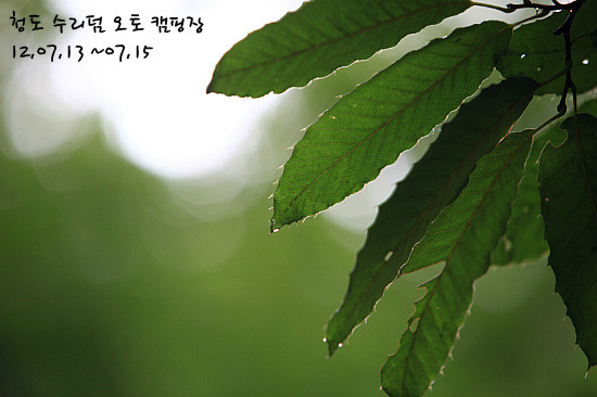 수리덤캠핑장 이미지