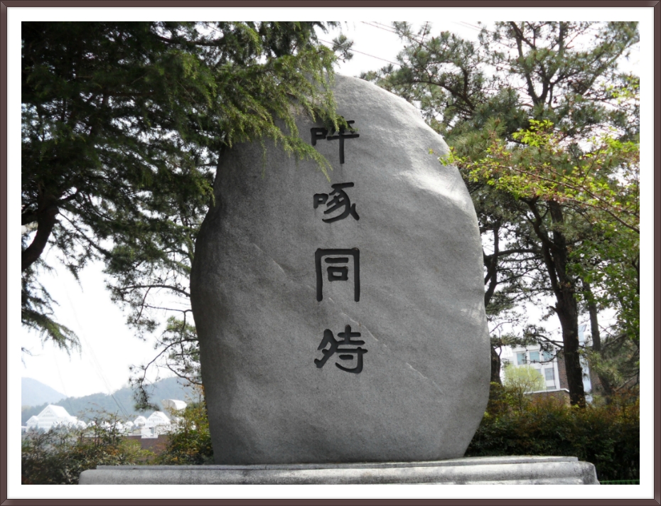 조선대학교병원 이미지
