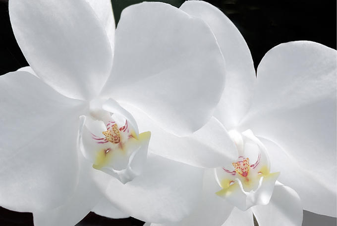 131DC60C4958653AA012BF