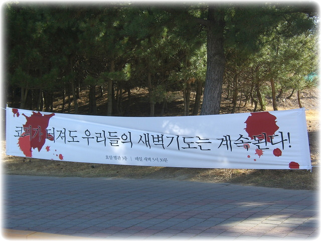 비젼아이 이미지