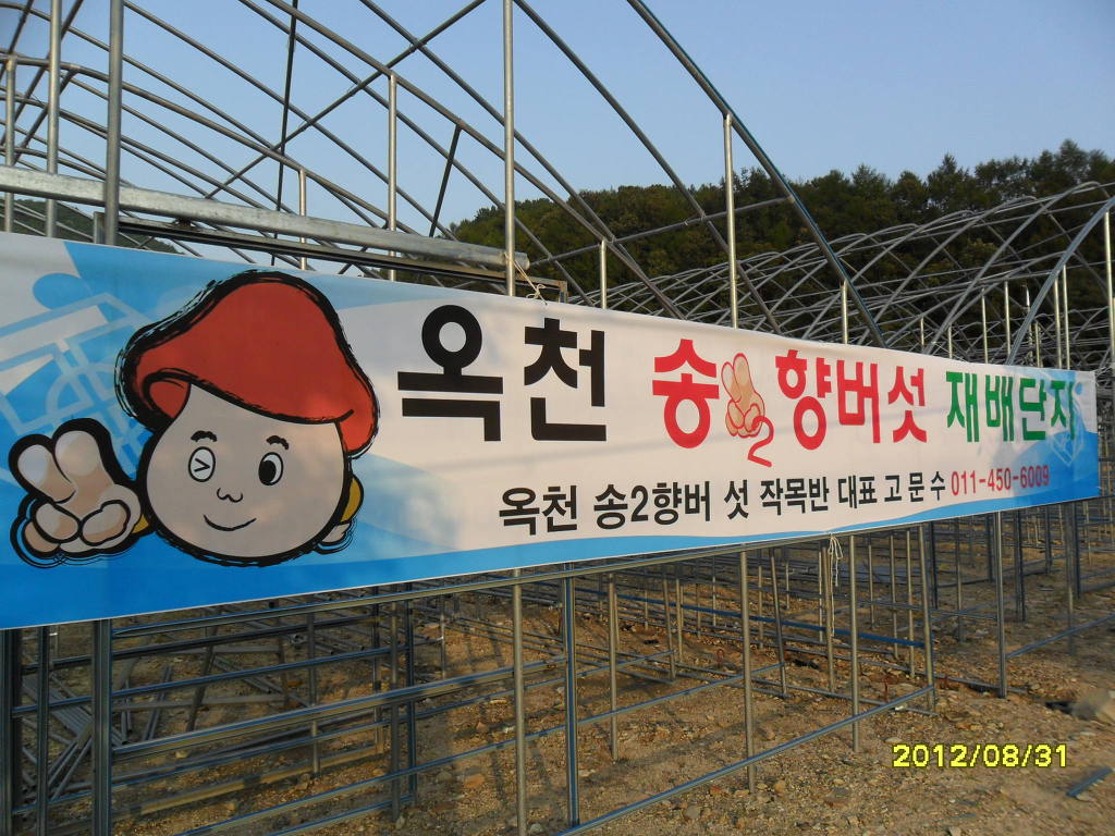 예쁜현수막 이미지