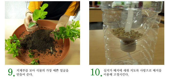 녹색인테리어 이미지