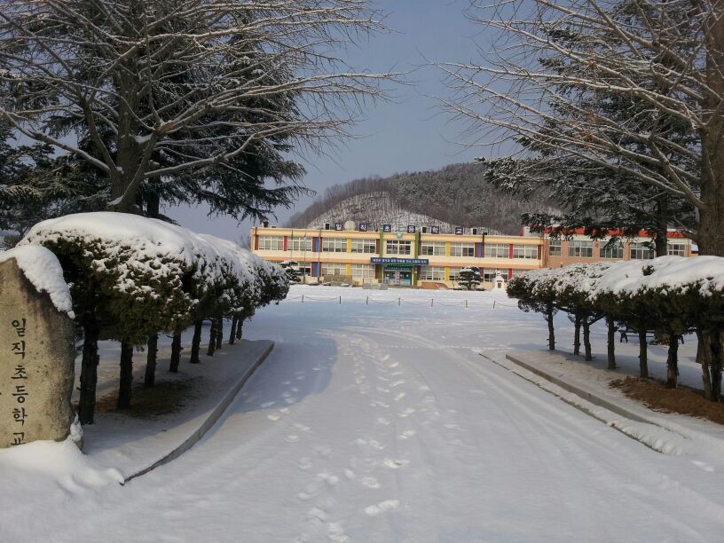 일직초등학교 이미지