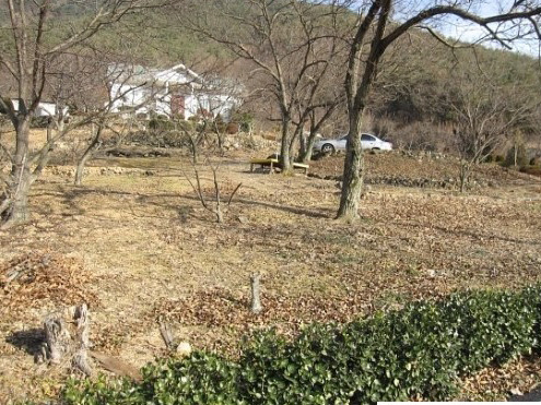 과일정원 이미지