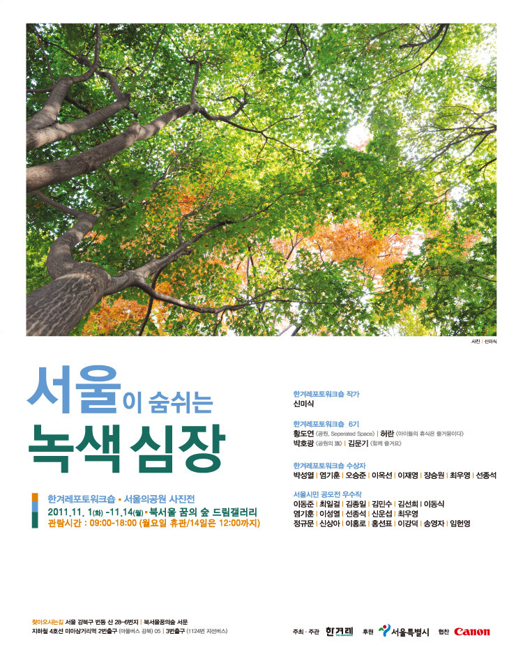 드림겔러리 이미지