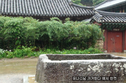 역전꼬막 이미지