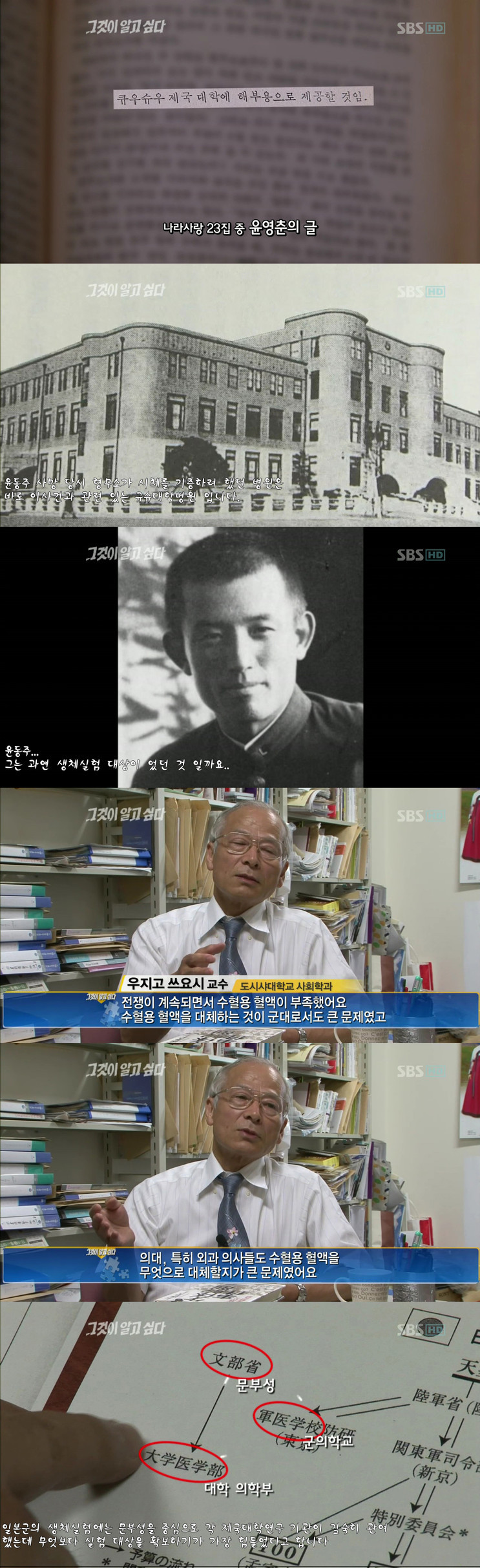 윤동주 시인이 왜 죽었는지 아시나요? | 인스티즈