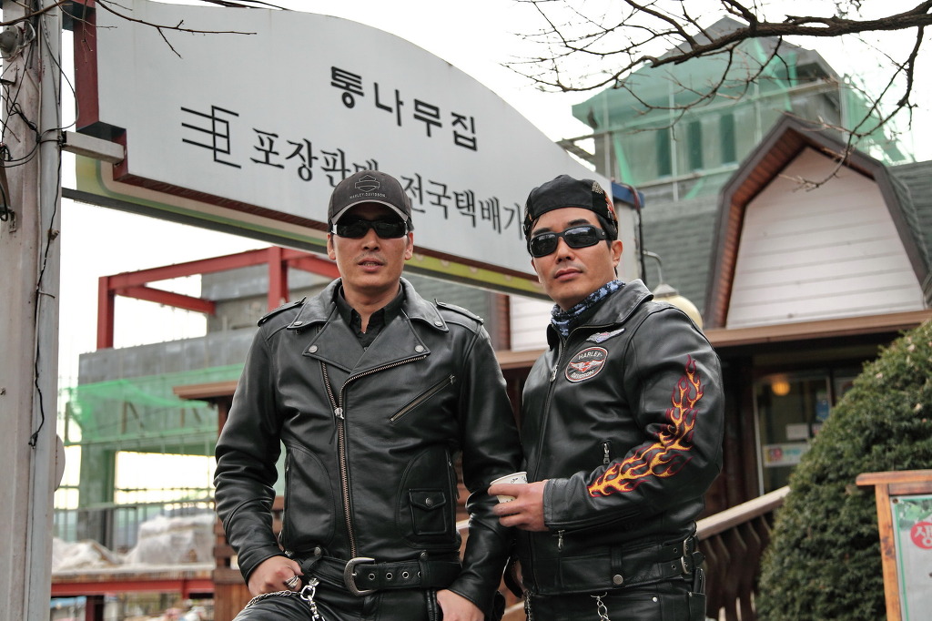 낙동강오리알 이미지