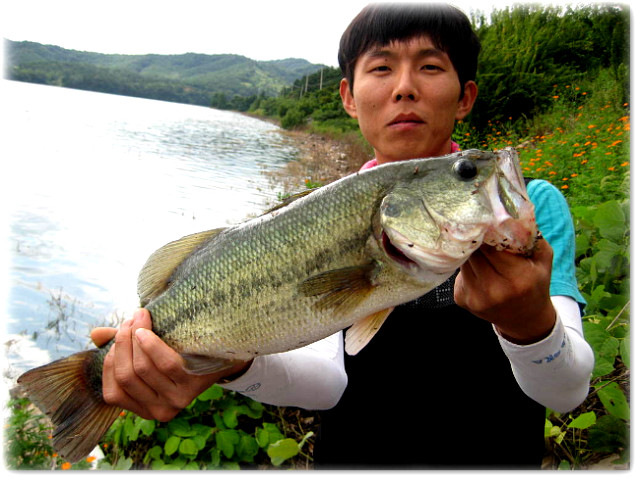 힛트방 이미지