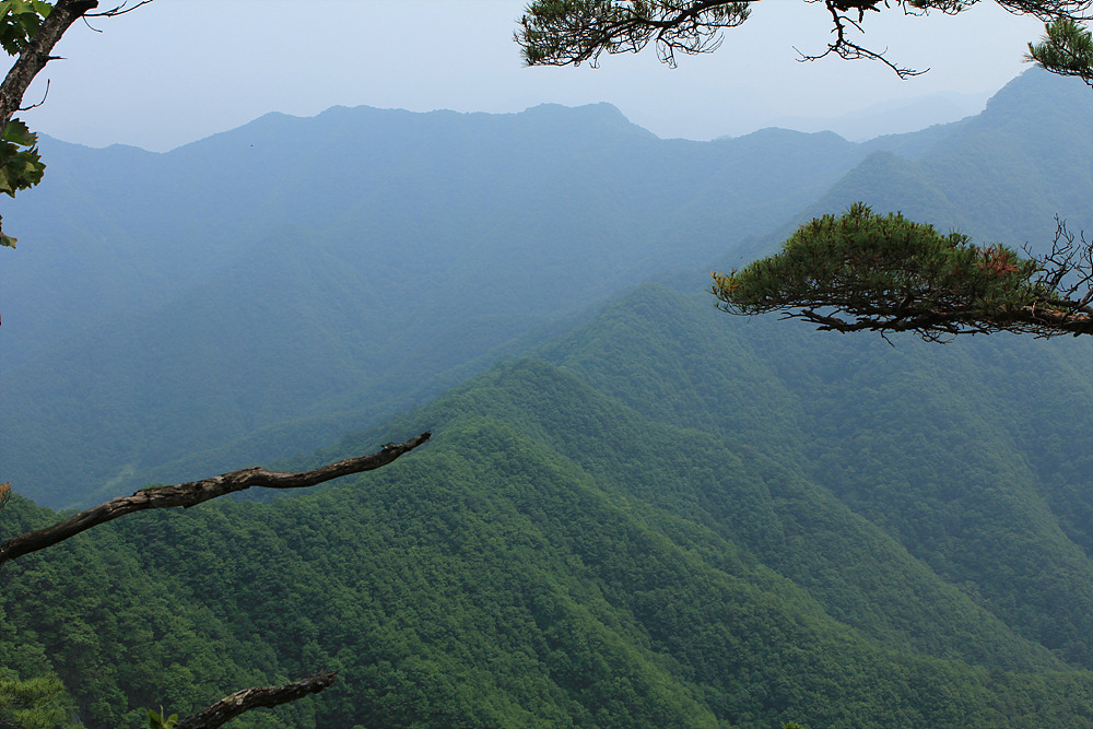 완택산 이미지