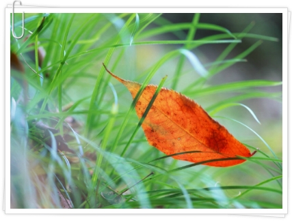 16195B3B5093FEAF2EE1C5