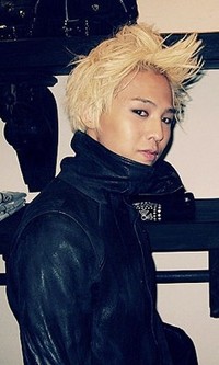다헤어 이미지
