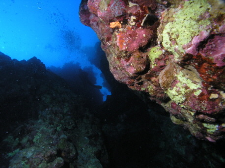 블루홀(BLUE HOLE) 이미지