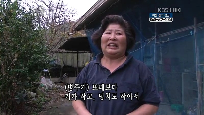 [인간극장] 우리 엄마는 할머니 1부 (감자 주의보 발령!!!) | 인스티즈