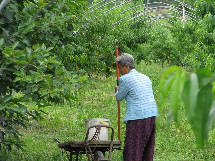 석우동 이미지