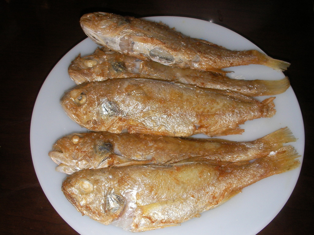 삼일낚시 이미지