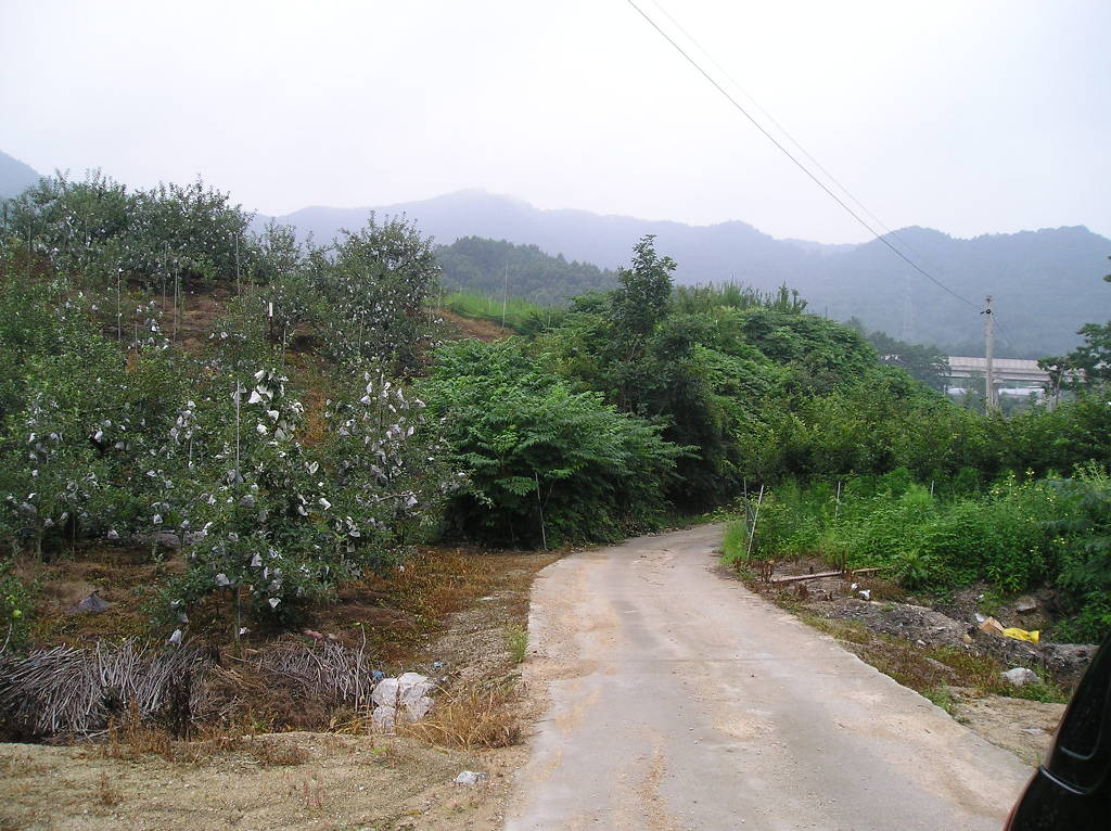 제천IC(하) 이미지