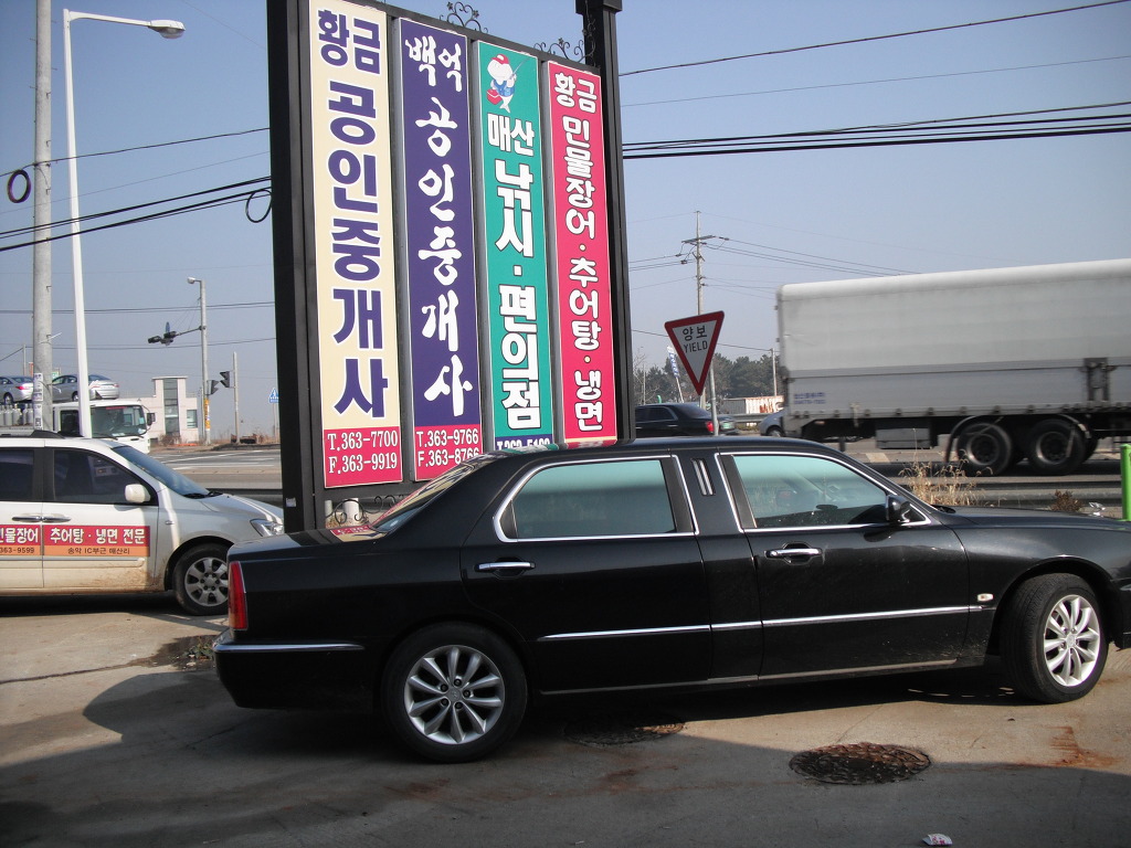 황금민물장어 이미지