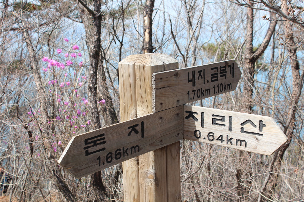 돈지마을 이미지