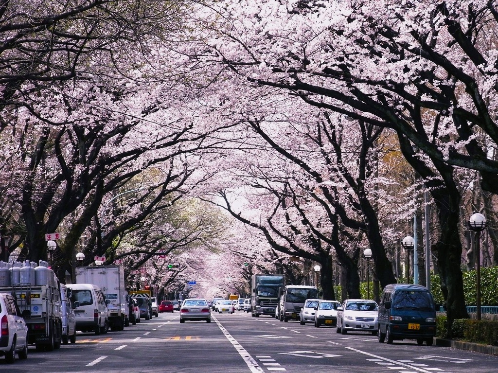 이제 곧 보게 될 풍경 ㅎㄷㄷㄷㄷ .jpg | 인스티즈
