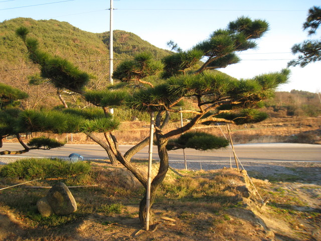 지리산농장 이미지