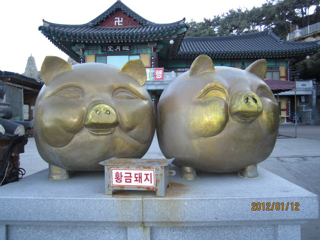 바다며느리 이미지