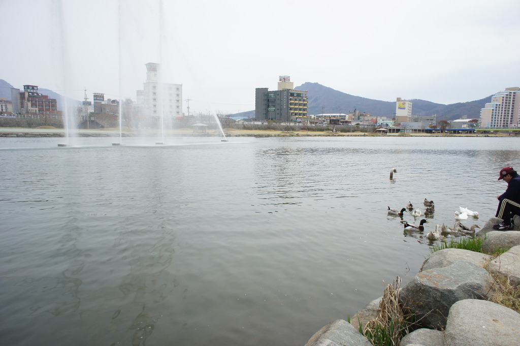 탐진국밥 이미지