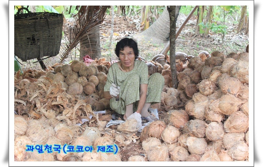 과일천국 이미지