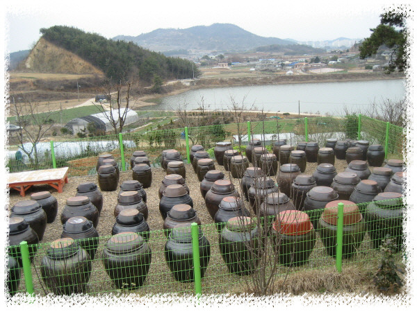 솔잎황토방된장 이미지