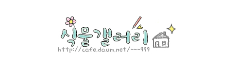 pc방 사장님 마지막 무리수 | 인스티즈
