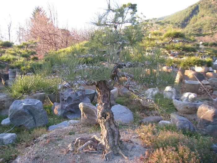 지리산농장 이미지