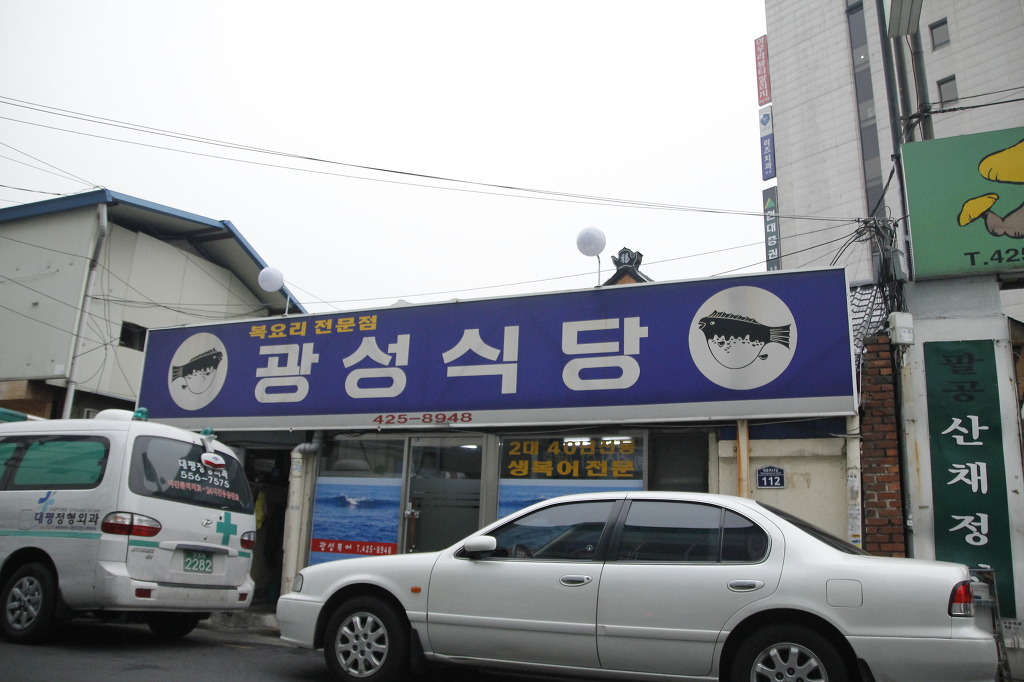광성복어 이미지