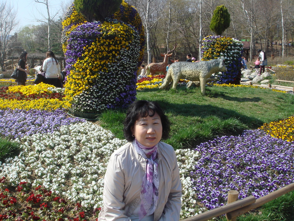 꽃마중 이미지