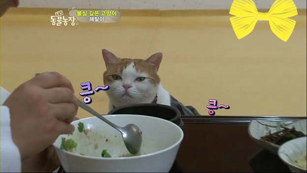 상귀농장 이미지