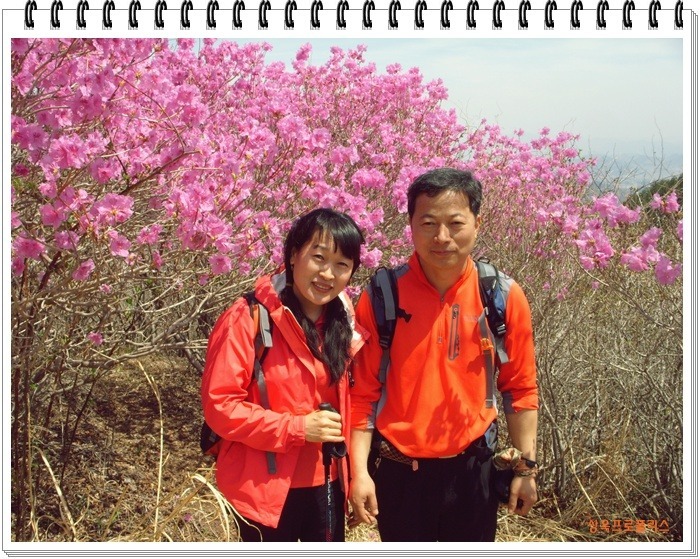 상옥프로폴리스 이미지