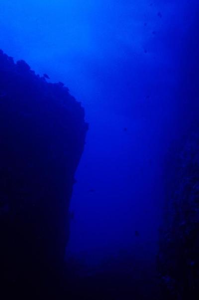 은근히 많은 사람들이 갖고있는 공포증 | 인스티즈