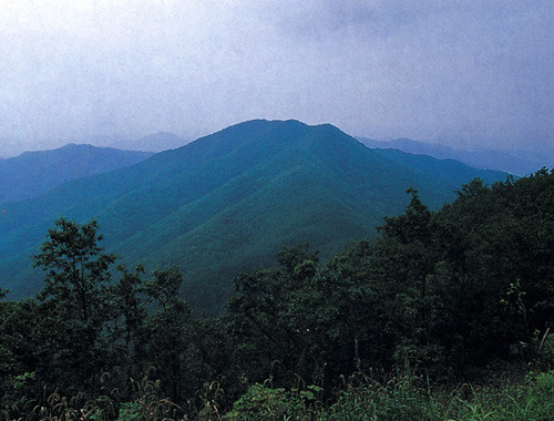 칠갑산 이미지